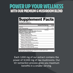 Essential Mind & Body- Organic Mushroom Complex Supplement Capsules 2- Pack 60 ct