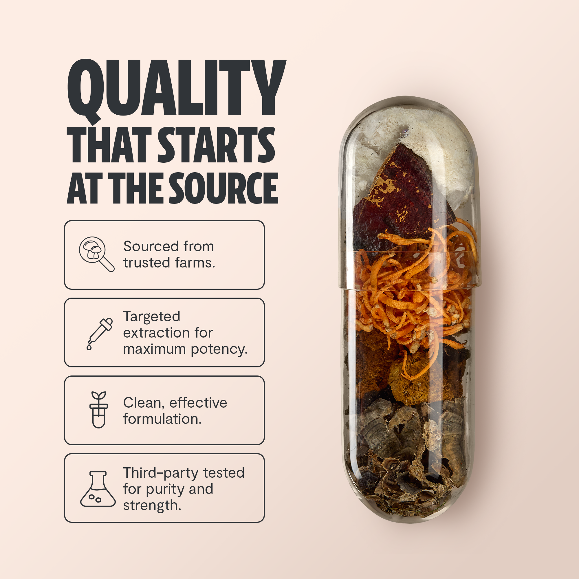 Essential Mind & Body- Organic Mushroom Complex Supplement Capsules 2- Pack 60 ct