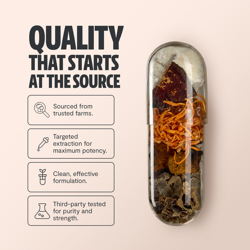 Essential Mind & Body- Mushroom Complex Supplement Capsules 60 ct